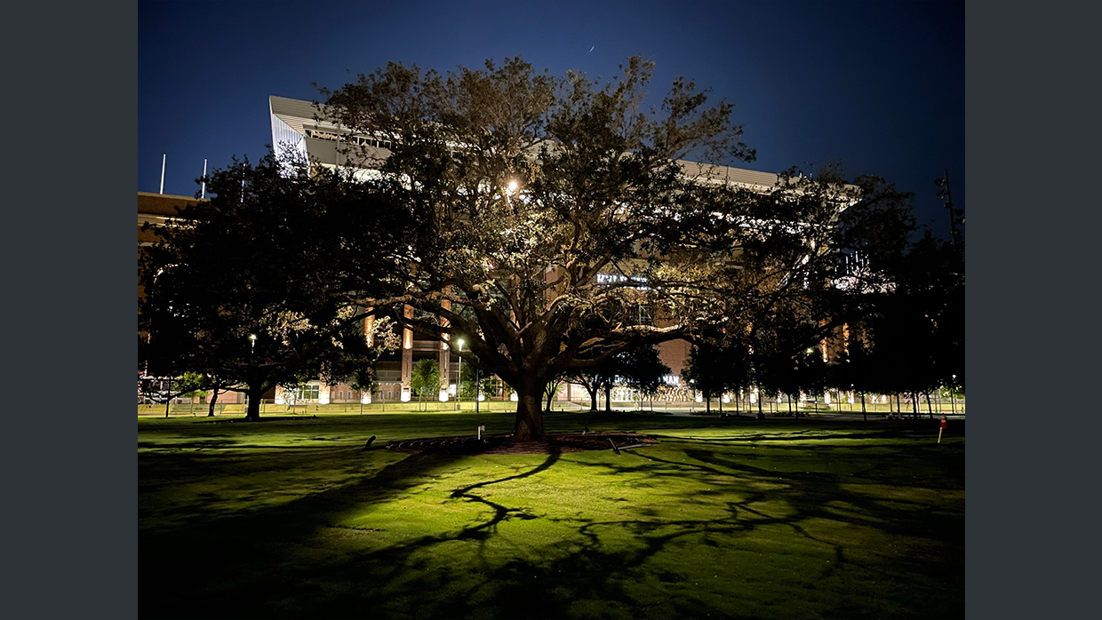 discovery green northwest corner